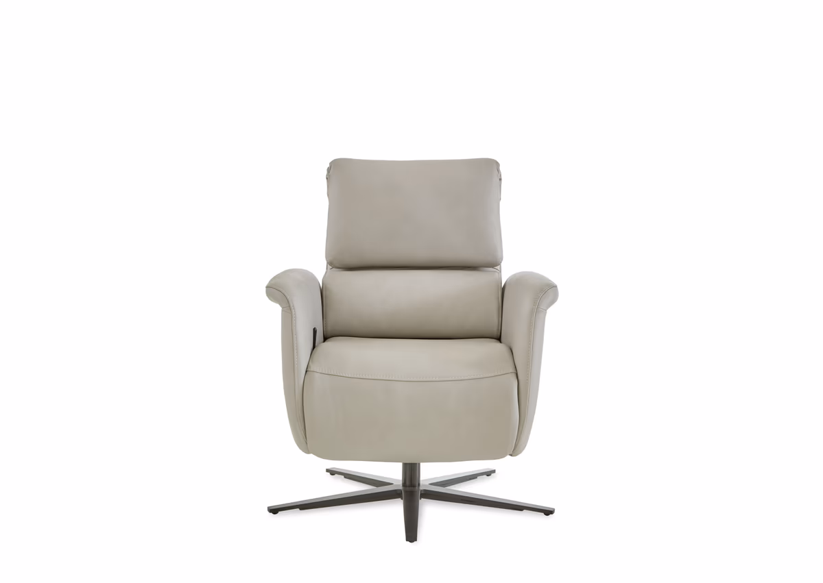 TV-Sessel - Relaxfunktion, Leder, Alufarben