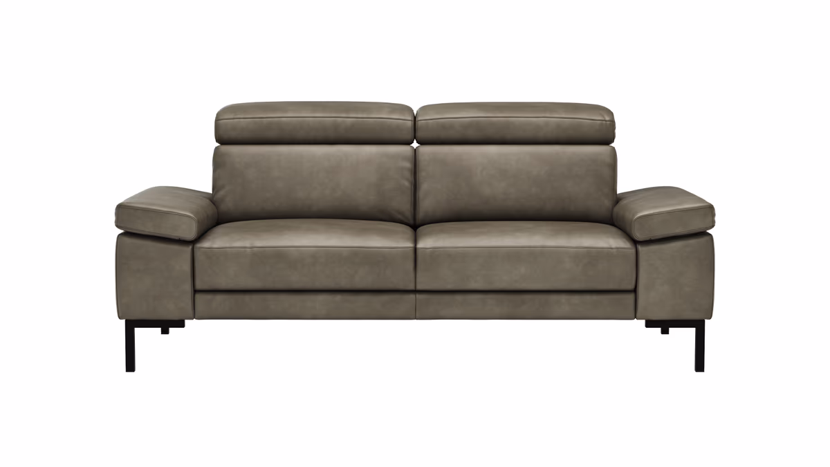 Sofa Hudson - 2,5-Sitzer, inkl. Kopfteil verstellbar, Leder, Braungrün