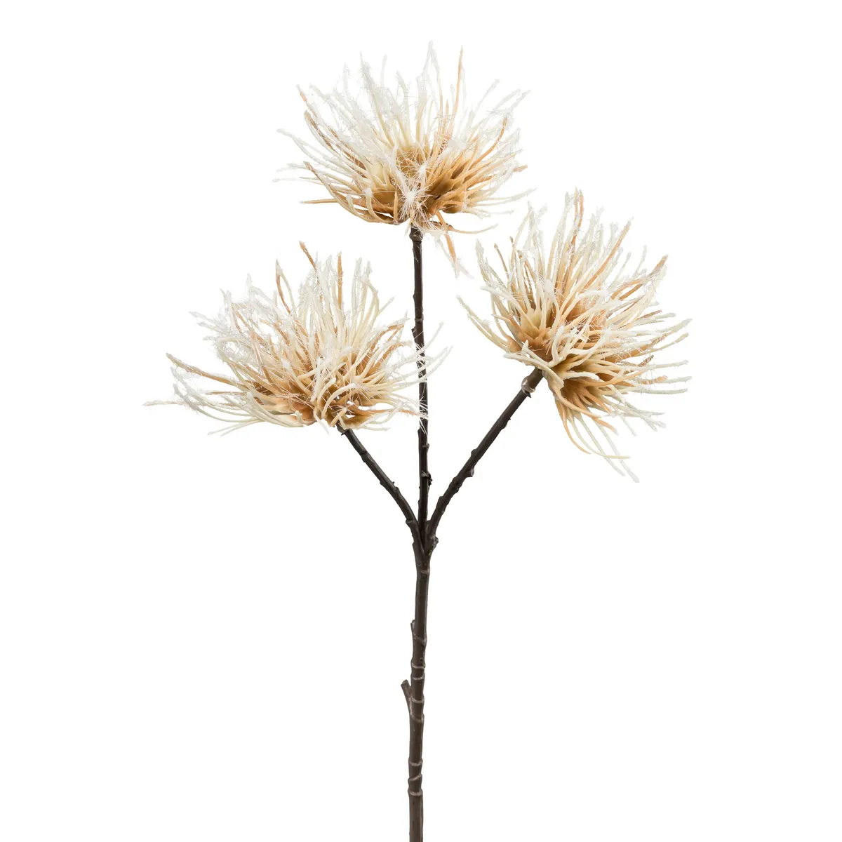 Deko-Urchinzweig - H ca. 37 cm, Creme