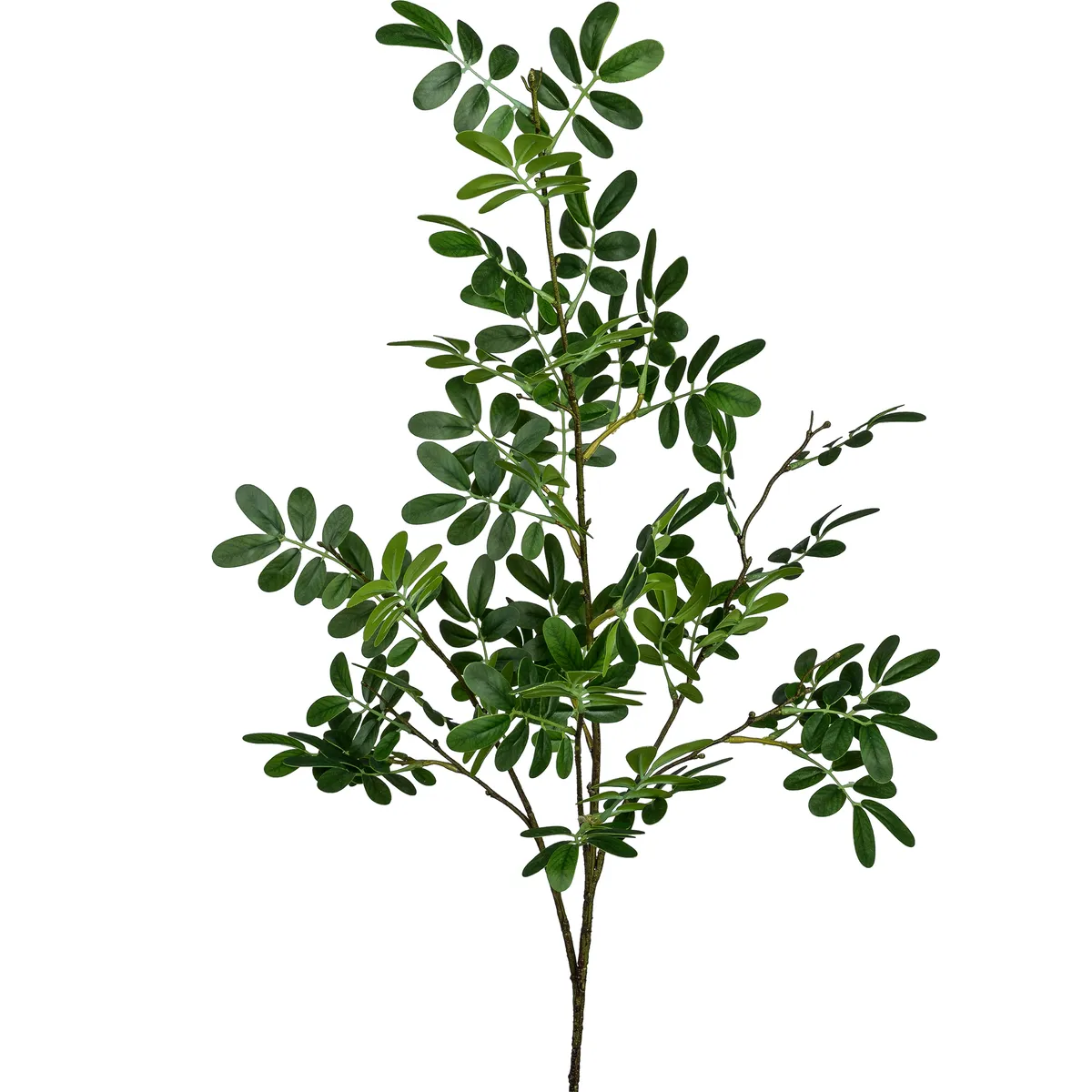 Deko-Moringazweig - L ca. 105 cm, Grün