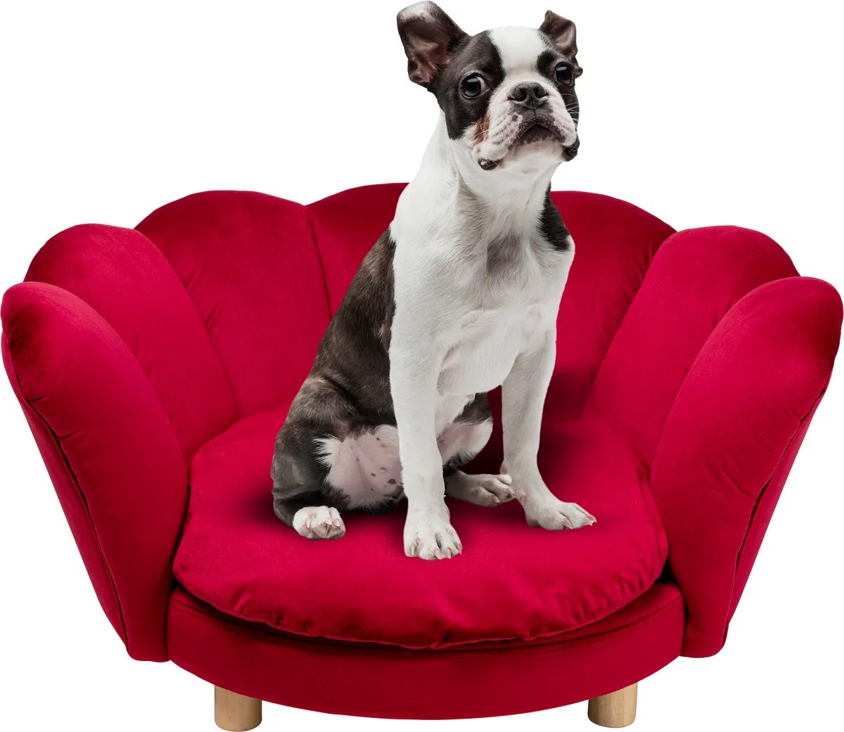 Hund/Katzenbett - BHT ca. 82x41x72 cm, rot