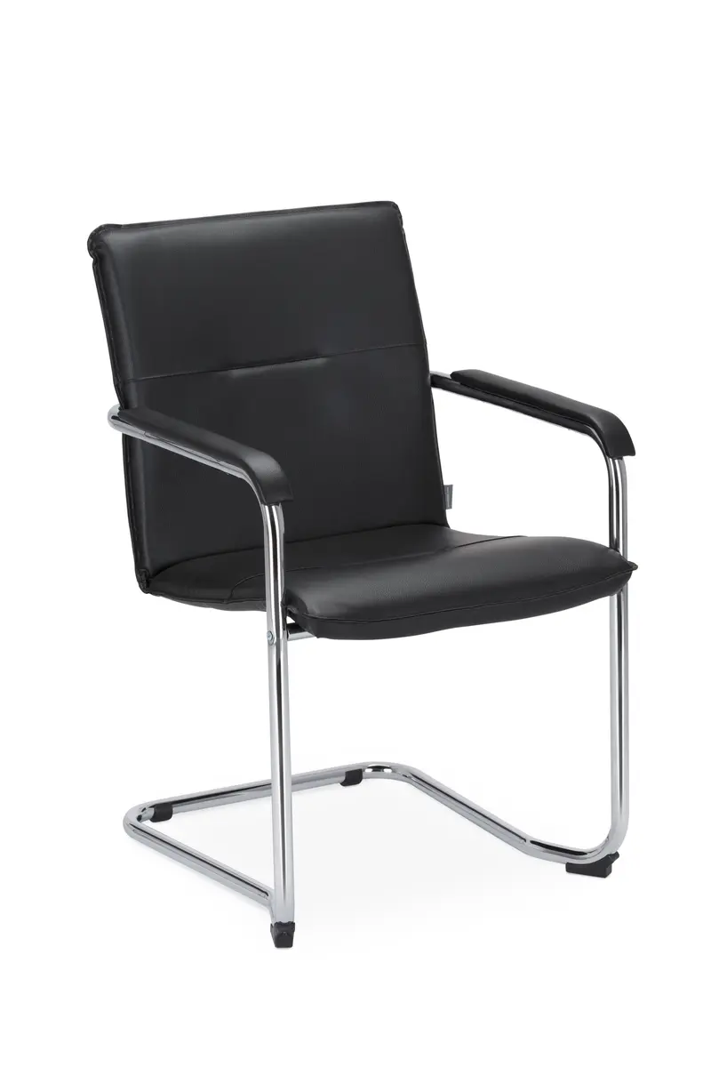 Freischwinger - mit Armlehne, Leder, Schwarz