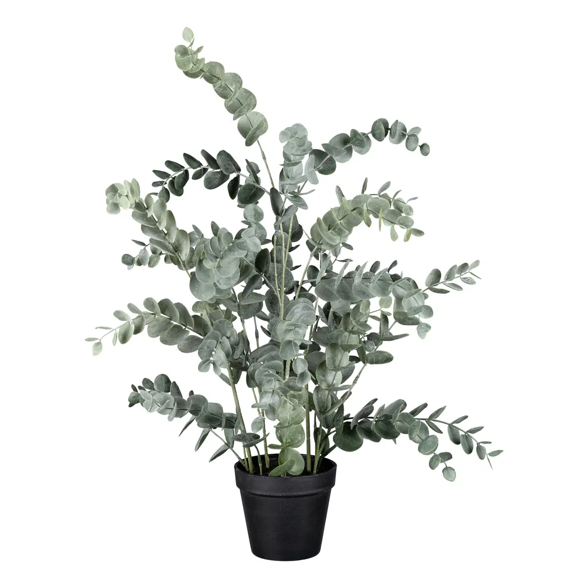 Deko-Eucalypthus - H ca. 67 cm, Grün, Schwarz