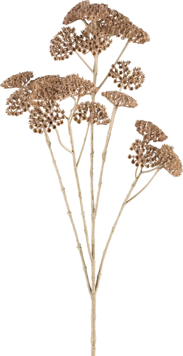 Deko-Zweig - LB ca. 73x6,5 cm, Natur