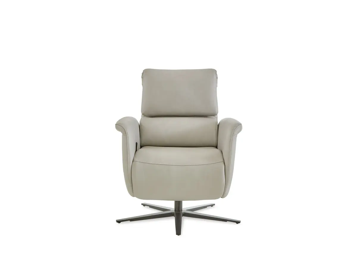 TV-Sessel - Relaxfunktion, Leder, Alufarben