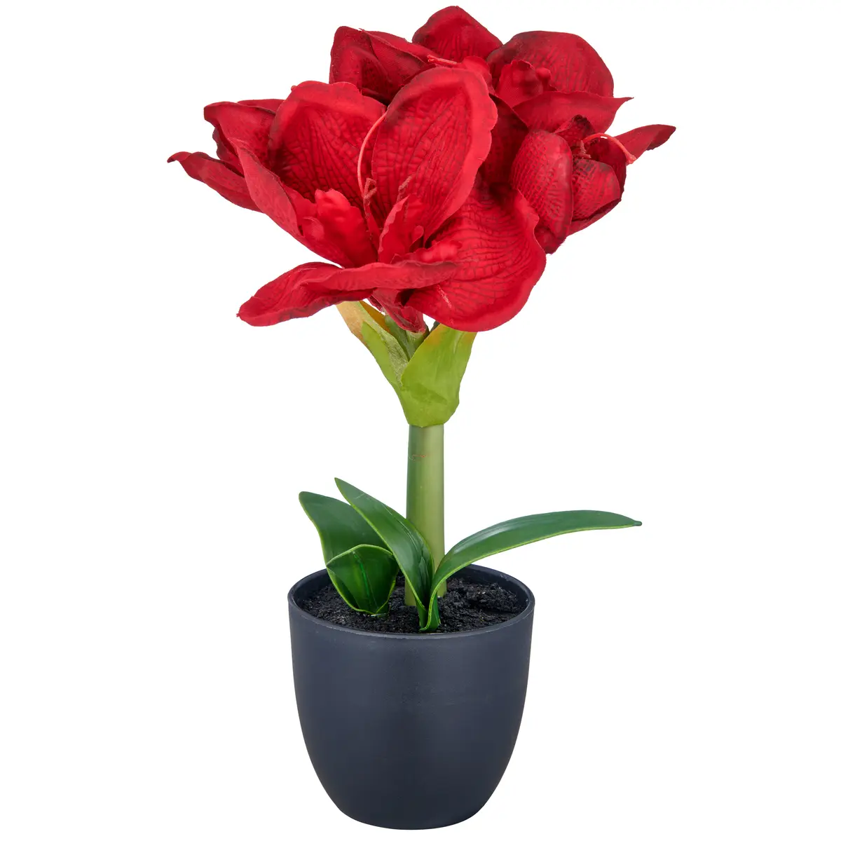 Deko Amaryllis - BH ca. 12x35 cm