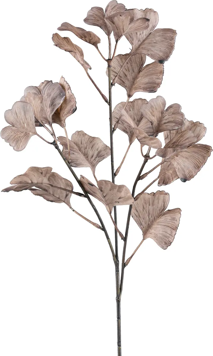 Deko-Gingkozweig - H ca. 62 cm, Machiato