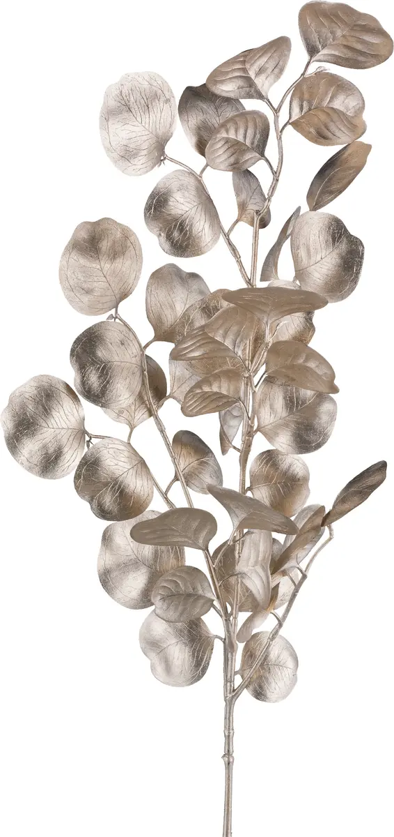 Deko-Eucalyptuszweig - BL ca. 30x77 cm, Champagner