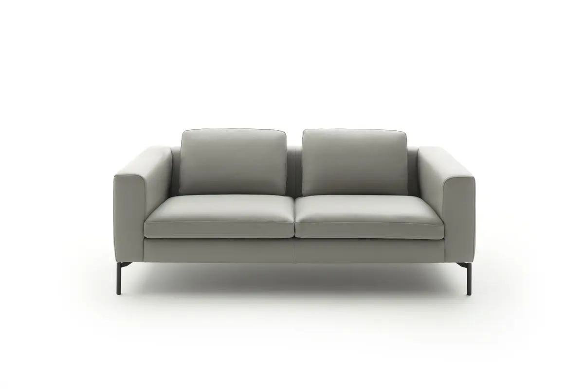 Sofa Lenni Style - 2-Sitzer, Leder, Steingrau, luftige Kisssen