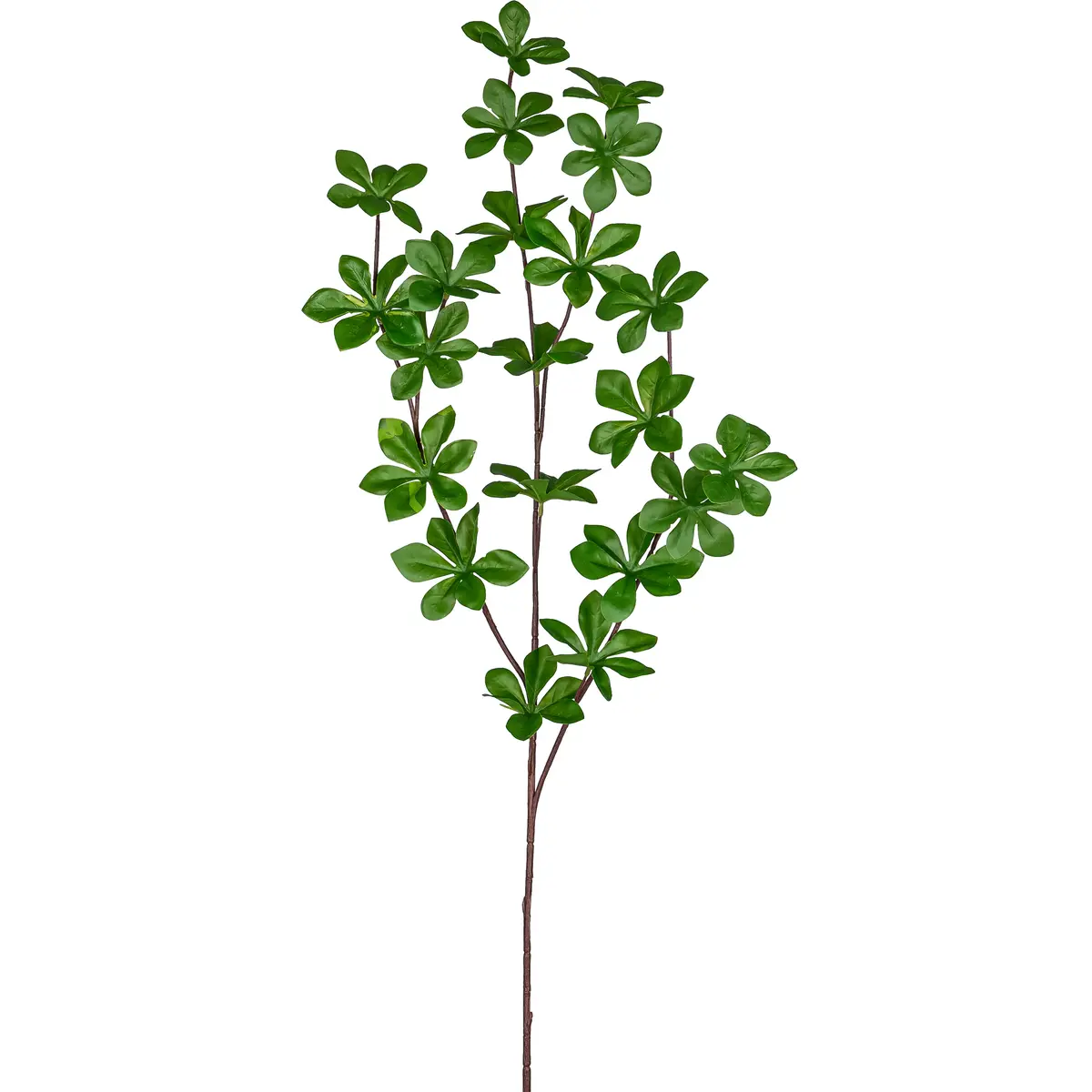 Deko-Louisianazweig - L ca. 71 cm, Grün