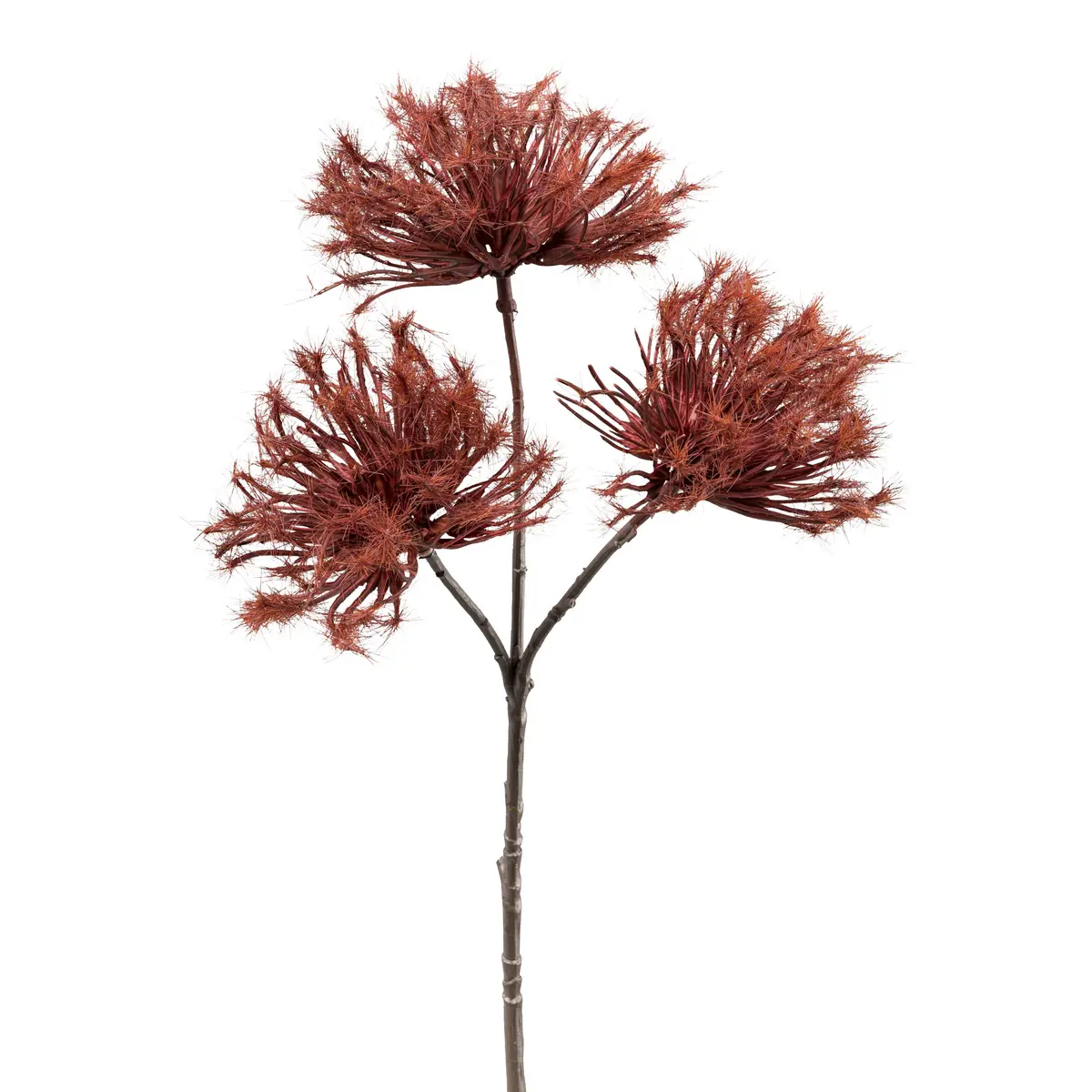 Deko-Urchinzweig - H ca. 37 cm, Bordeaux1023815-03