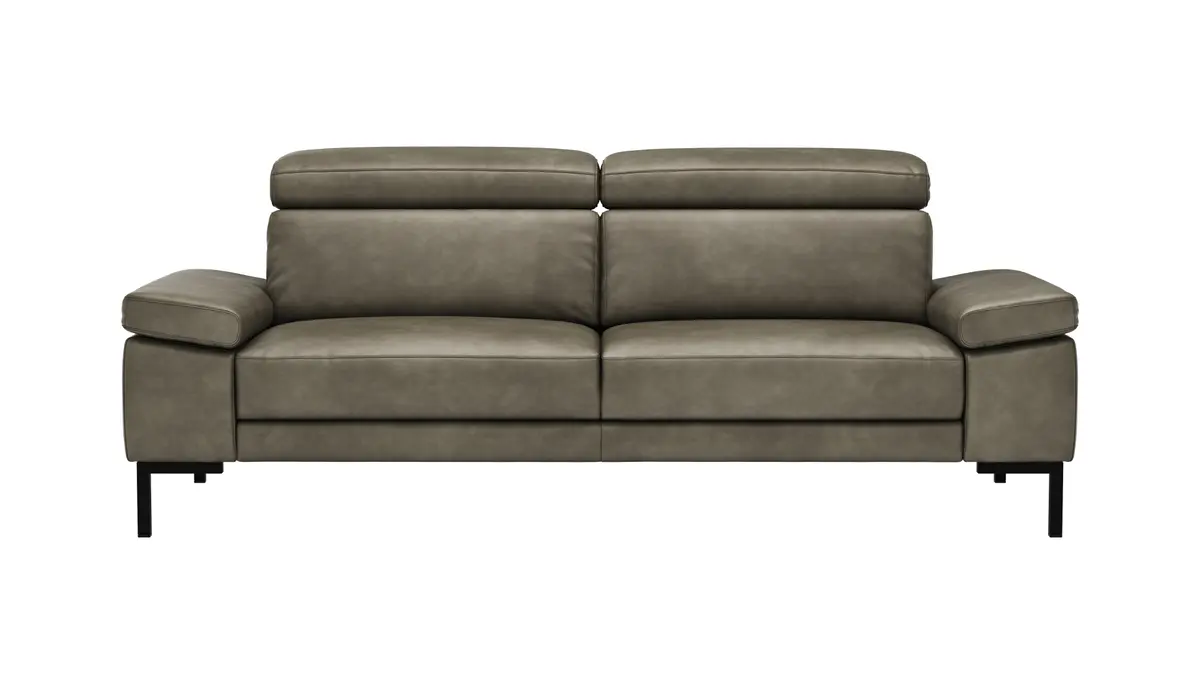 Sofa Hudson - 3-Sitzer, inkl. Kopfteil verstellbar, Leder, Braungrün