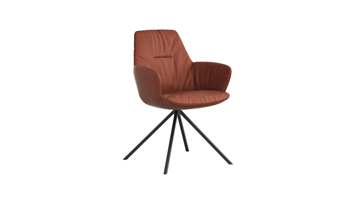 Armlehnstuhl Pegara - Leder, Rost