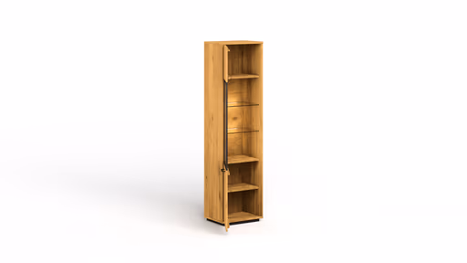 Vitrine Savannah - Anschlag links, inkl. Beleuchtung, Wildeiche massiv, natur geölt