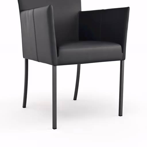 Armlehnstuhl Penthouse - Leder, Schwarz, 4 Fuß, Metall, Schwarz