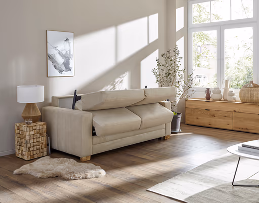 Sofa Lakeville - 2-Sitzer inkl. Schlaffunktion, Gestell Schwarz, Stoff, Beige