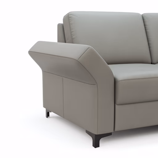 Ecksofa Merlos - 2-Sitzer mit Longchair rechts inkl. Armlehne verstellbar, Leder, Steingrau