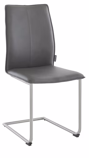 Freischwinger Stine - Leder, Anthrazit, Edelstahl gebürstet