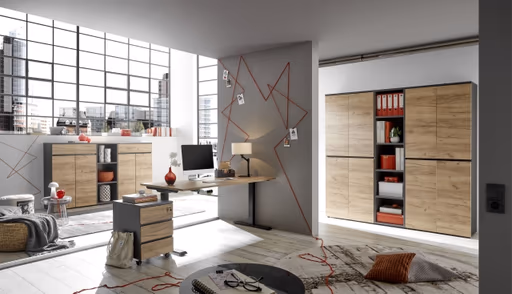 Aktenschrank GRIFFIN - B/H/T ca. 80x120x40 cm, Graphit, Eiche Dekor