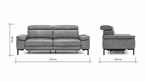 Sofa Hudson - 3-Sitzer, inkl. Relaxfunktion (motorisch) und Kopfteil/Armlehnen verstellbar, Leder, Braungrün