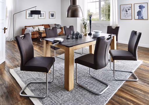 Freischwinger - Leder, Anthrazit