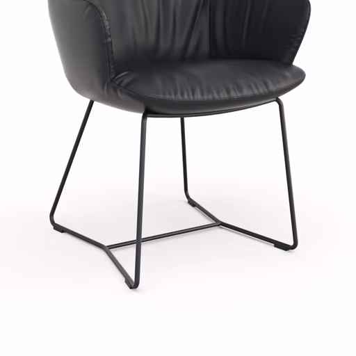 Armlehnstuhl Pegara - Leder, Schwarz, Kufe
