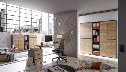 Aktenschrank GRIFFIN - B/H/T ca. 80x120x40 cm, Graphit, Eiche Dekor