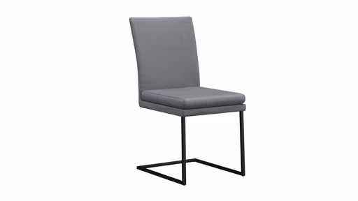 Freischwinger Saragossa - Leder, Anthrazit