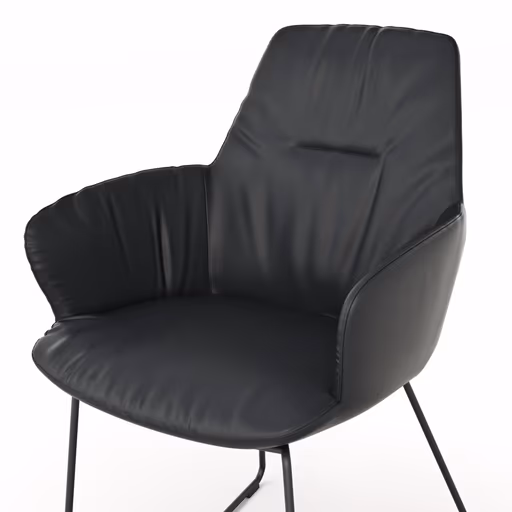 Armlehnstuhl Pegara - Leder, Schwarz, Kufe