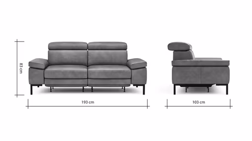 Sofa Hudson - 2,5-Sitzer, inkl. Relaxfunktion (motorisch) und Kopfteil/Armlehnen verstellbar, Leder, Braungrün