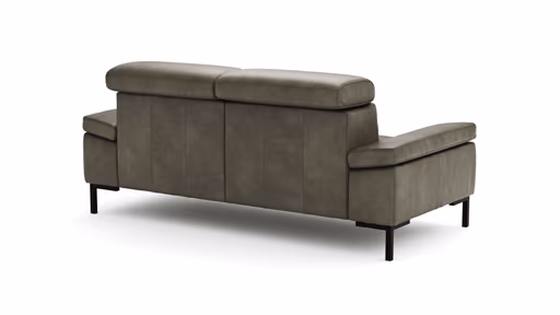 Sofa Hudson - 2,5-Sitzer, inkl. Kopfteil verstellbar, Leder, Braungrün