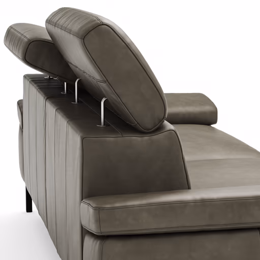 Sofa Hudson - 3-Sitzer, inkl. Kopfteil verstellbar, Leder, Braungrün