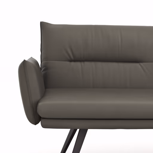 Bank Coscino - 3,5-Sitzer, inklusive Armlehnen, Leder, Schlamm