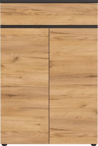 Aktenschrank GRIFFIN - B/H/T ca. 80x120x40 cm, Graphit, Eiche Dekor