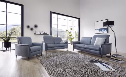 Sofa Bolivien - 2,5-Sitzer, Kopfteil verstellbar, Leder, Steel