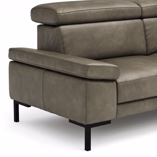 Sofa Hudson - 3-Sitzer, inkl. Kopfteil verstellbar, Leder, Braungrün