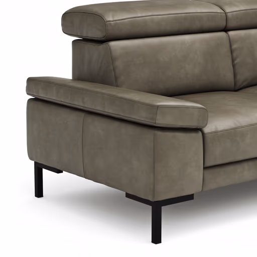 Sofa Hudson - 2,5-Sitzer, inkl. Kopfteil verstellbar, Leder, Braungrün