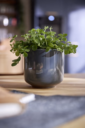 Küchenzeile 51.210 GL 2 525, tiefblau matt