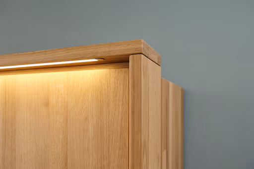 Drehtürenschrank Scottsdale - inkl. Passepartout und Beleuchtung, B ca. 257cm, Wildeiche massiv