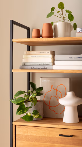 Regal Farmingdale - mit Klappe, Eiche massiv, natur geölt