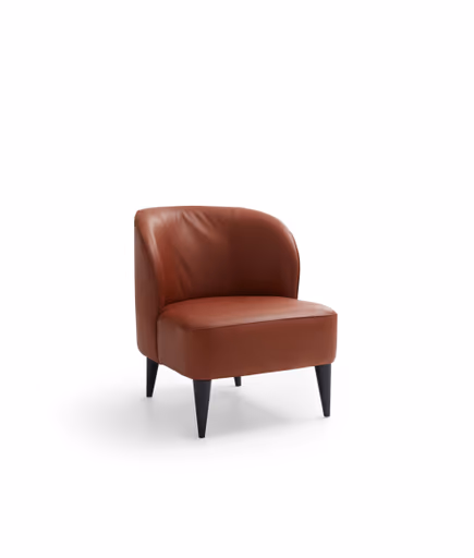 Sessel Cuneo - Leder, Cognac