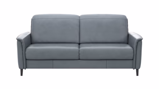 Sofa Bolivien - 2,5-Sitzer groß, Kopfteil verstellbar, Leder, Steel