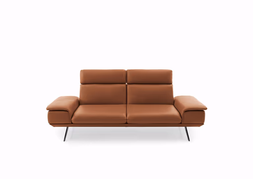 Sofa - 2,5-Sitzer, Kopfstütze/Armlehne verstellbar, Leder, Braungrün