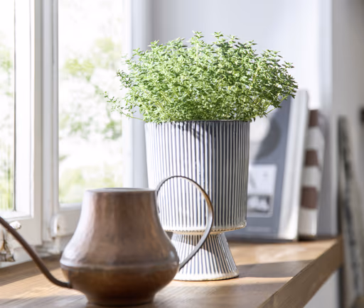 U-Küche 56.210 CO 2 525, kristallweiß matt