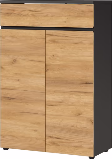 Aktenschrank GRIFFIN - B/H/T ca. 80x120x40 cm, Graphit, Eiche Dekor