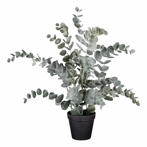Deko-Eucalypthus - H ca. 53 cm, Grün, Schwarz
