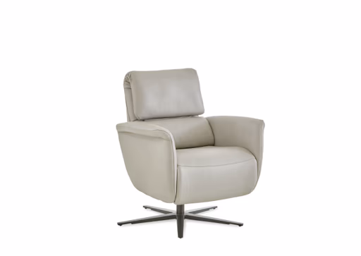 TV-Sessel - Relaxfunktion, Leder, Alufarben