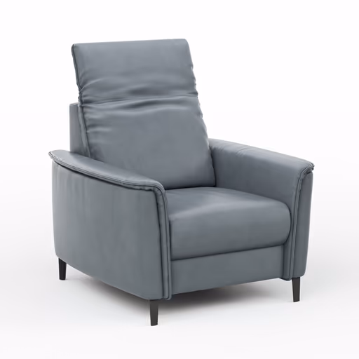 Sessel Bolivien - Kopfteil verstellbar, Leder, Steel