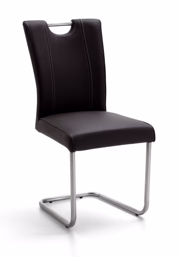 Freischwinger - Leder, Anthrazit