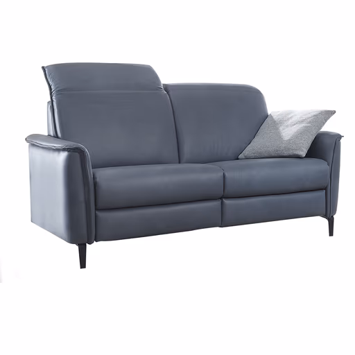 Sofa Bolivien - 2,5-Sitzer, Kopfteil verstellbar, Leder, Steel
